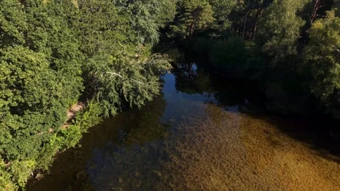 Backward Drone Flight Over Clear River And Dense Green Woodland Stock Footage 341796609