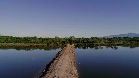 Backward Drone flight over a shrimp farm in Central America Stock Footage 101026819