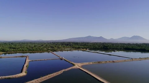 Backward drone flight over a shrimp farm in Central America 02 Stock Footage 101031010