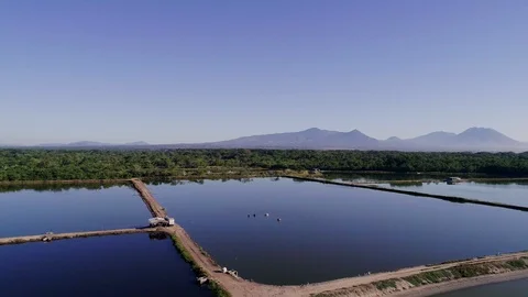 Backward drone flight over a shrimp farm in Central America 01 Stock Footage 101031456