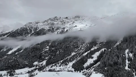 Backward Drone Flight Over Snow-Covered Pine Forest with Mountain Backdr Vídeo Stock 336613899