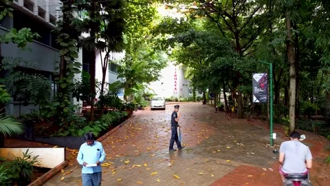 Backward Drone shot focusing on Trees, pavement and People Stock Footage 252056305