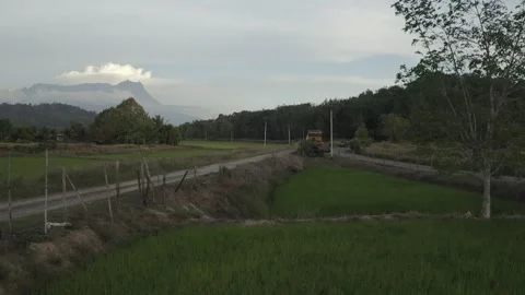 Backward drone shot of Paddy Fields showing mountain kinabalu drone shot Video stock 247403015