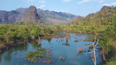 Backward drone shot of river with dead trees in Thalang, Laos Stock Footage 247866347
