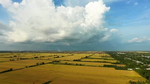 Backward drone view of Mekong Delta rice fields Stock Footage 337697716