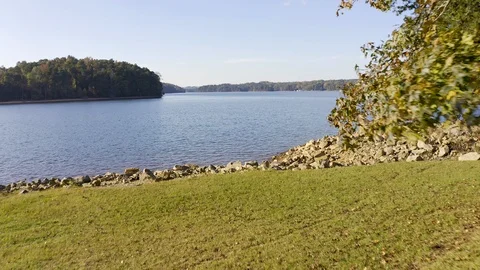 Backward flight through the trees of a lake side picnic area. Stock Footage 119299360