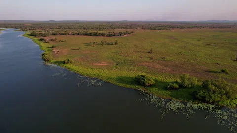 Backward flying drone shot of Marry River showcasing grassland and river of the 스톡 동영상 331010689