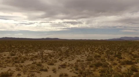 Backward Motion Horizontal Aerial Shot in the Desert Video stock 64708539