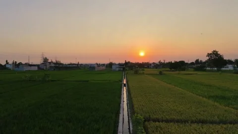 Backward moving aerial drone view of sunset over rural village and rice fields. 스톡 동영상 342092015