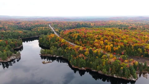 Backward view of a lake and forest in autumn Stock Footage 258105814
