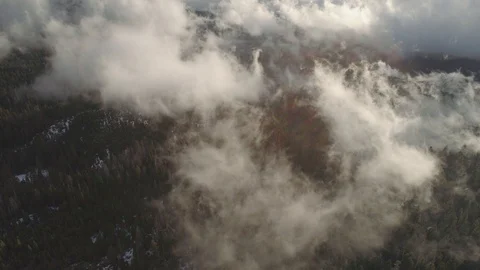 Backwards aerial over a forest with low clouds, slowly moving and snow. 库存影片 125230577
