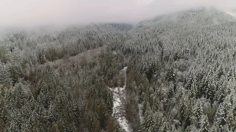 Backwards aerial shot in winter forest, with stream below. Overcast day, foggy. Vidéo 104841174