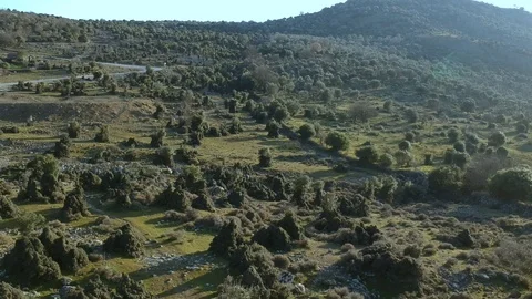 Backwards drone flight over cows and a crater lake in nature Stock Footage 124432229