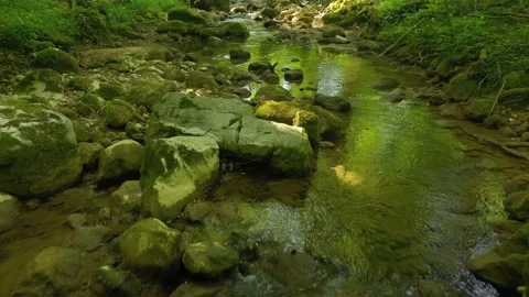 Backwards flight close to beautiful rocky forest stream 動画素材 226798219