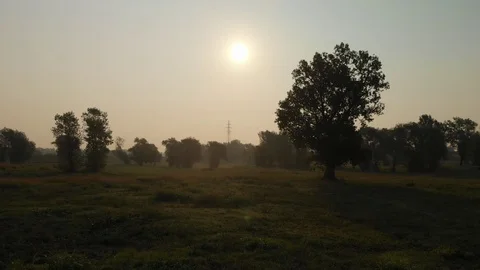 Backwards flight in park with sun in background Stock Footage 115082482