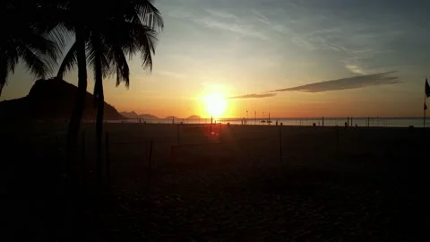Backwards flying between palm trees towards the ocean at Copacabana Beach, Rio Stock Footage 231123958