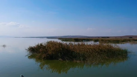 Backwards move in the morning over over a lake with fishing boats and pelicans Stock Footage 119601196