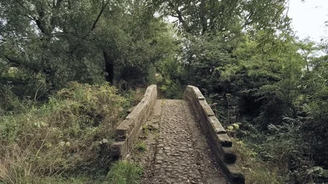 Backwards move from old overgrown stone bridge, in english countryside. Stock Footage 95544168
