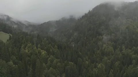 Backwards Through the Mist - DJI Mavic Pro 2 - 4K - 23.98 fps - Megeve, FRA Stock Footage 122322308