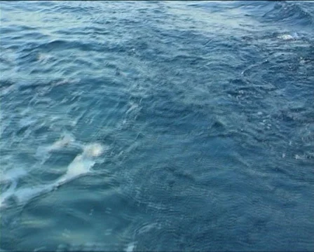 Backwash Stock Footage 118857