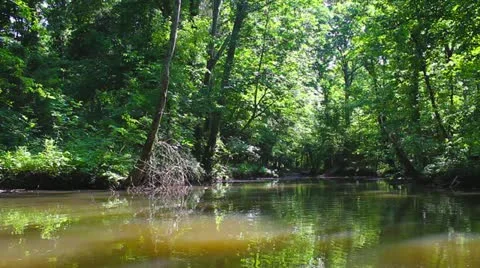 Backwater Creek Stock Footage 11002141