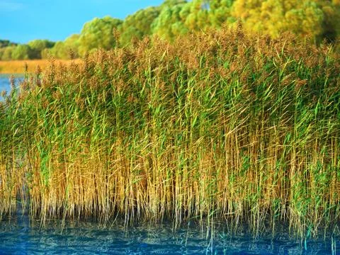 Backwater during sunset time background Stock Photos