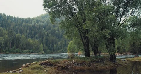 Backwater on a mountain river Stock Footage 156393902