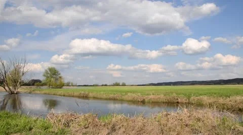 Backwater of Oder River, Unteres Odertal National Park, Germany Stock Footage 12678345