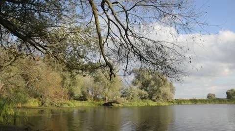 Backwater of Oder River, Unteres Odertal National Park, Germany Stock Footage 12867324