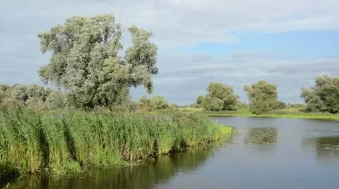 Backwater of Oder River, Unteres Odertal National Park, Germany Stock Footage 13397209