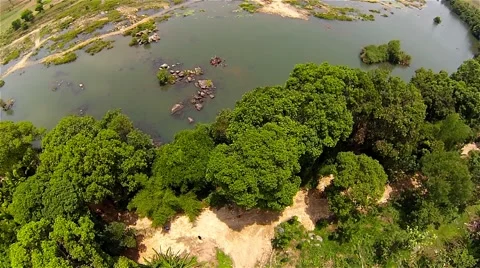 Backwaters Stock Footage 51428733