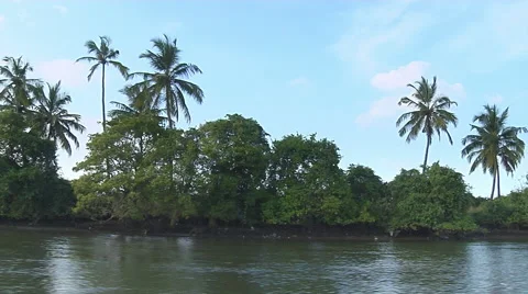Backwaters in Goa, India Stock-Footage 52713777