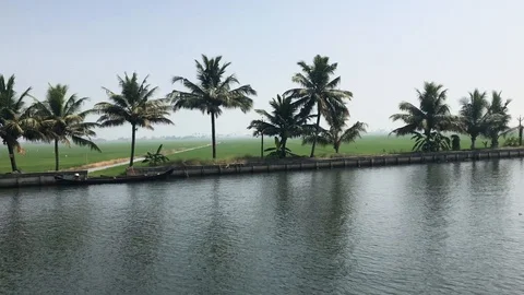 The Backwaters of Kerala, India Stock Footage 85496715
