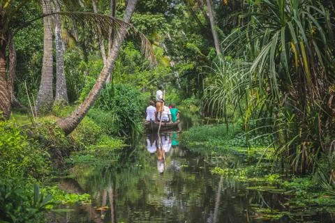 Backwaters, Kerala, India Stock Photos