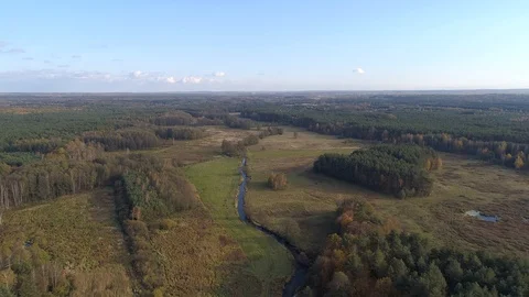 Backwaters on meadows, aerial view Stock Footage 123704463
