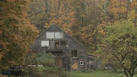 Backwoods House Stock Footage 40806962