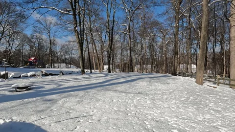 Backyard and trees covered with snow after the snow storm in January Stock Footage 285159711