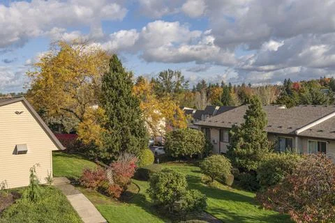 Backyard Autumn colors Gresham Oregon. Stock-Fotos