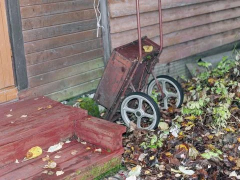 Backyard in autumn 库存照片