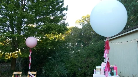 Backyard Baby Shower Stock Footage 124934937