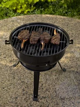 Backyard barbecue Stock Photos