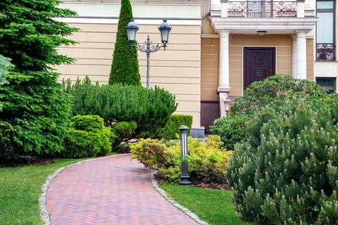 Backyard with bark mulched evergreens pine plants trees and bushes. Stock Photos