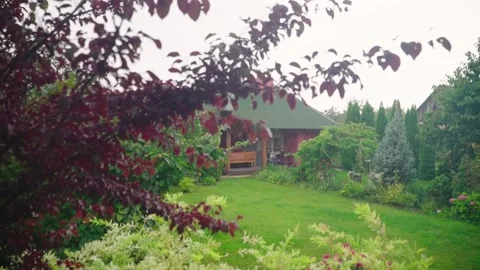 The backyard with a barn surrounded by trees and bushes during the summer rain Stock-Footage 146982906
