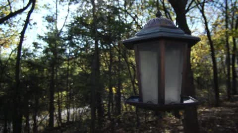 Backyard Birdhouse Blowing in the Wind Stock Footage 12506064