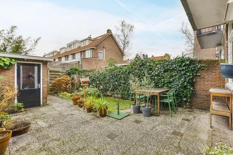 Backyard of building with plants Stock Photos