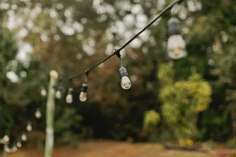 Backyard Bulb String Lights Hang in Cool Evening Light Foto stock