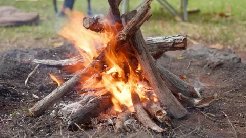 Backyard Camping 1 Stock Footage 342160387
