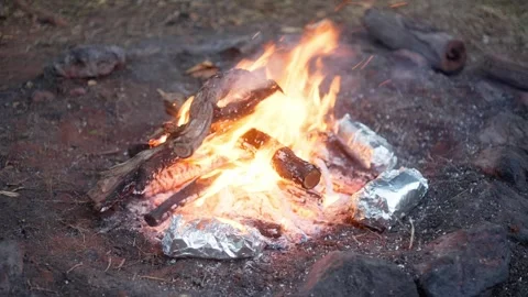 Backyard Camping 2 Stock Footage 342177007