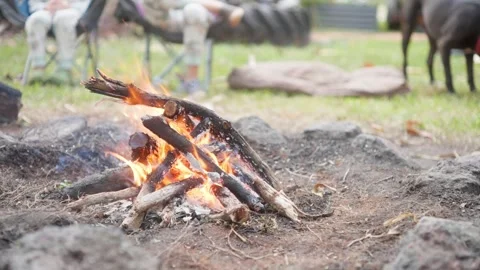Backyard Camping 3 Stock Footage 342177021