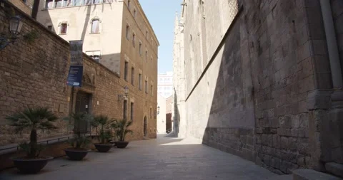 Backyard of the cathedral of barcelona. Ancient stone gothic walls Stock Footage 150979253